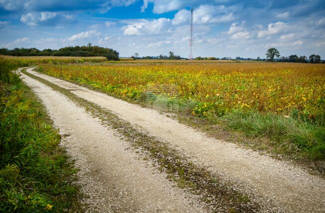 Działka inwestycyjna Szczurowa