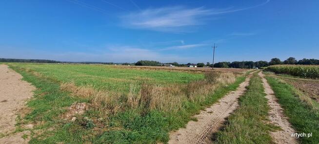 Działka rolna Rogów gm. Repki