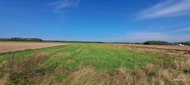 Działka rolna Rogów gm. Repki