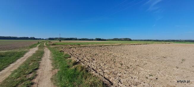 Działka rolna Rogów gm. Repki
