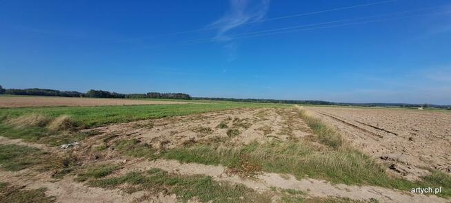 Działka rolna Rogów gm. Repki