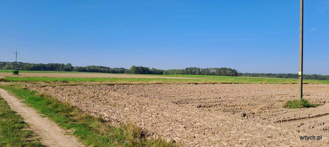 Działka rolna Rogów gm. Repki