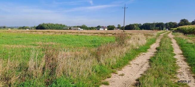 Działka rolna Rogów gm. Repki