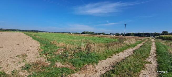 Działka rolna Rogów gm. Repki