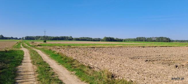 Działka rolna Rogów gm. Repki