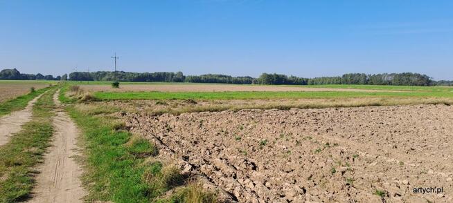 Działka rolna Rogów gm. Repki