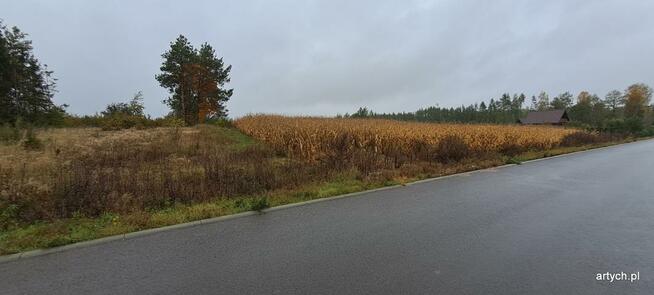 Działka budowlana Kupientyn gm. Sabnie