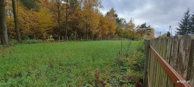 Działka rekreacyjna Kupientyn gm. Sabnie