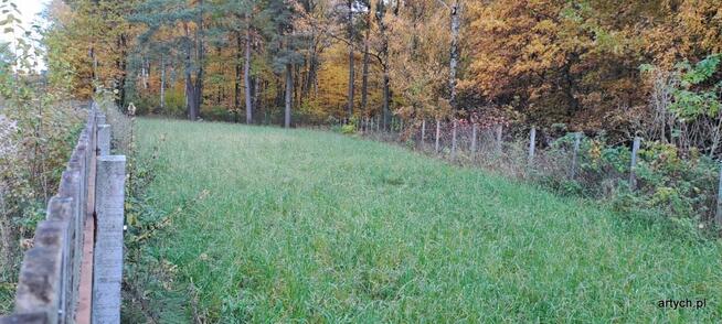 Działka rekreacyjna Kupientyn gm. Sabnie