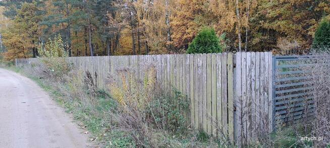 Działka rekreacyjna Kupientyn gm. Sabnie