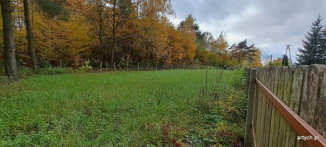 Działka rekreacyjna Kupientyn gm. Sabnie
