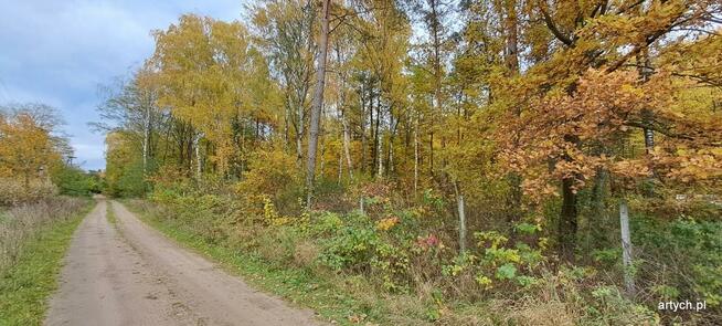 Działka rekreacyjna Kupientyn gm. Sabnie