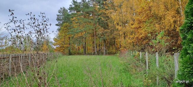 Działka rekreacyjna Kupientyn gm. Sabnie