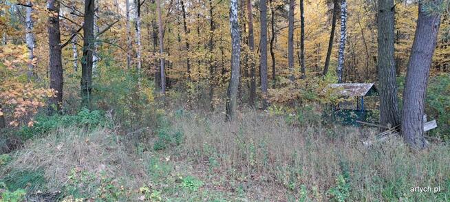 Działka rekreacyjna Kupientyn gm. Sabnie