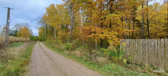 Działka rekreacyjna Kupientyn gm. Sabnie