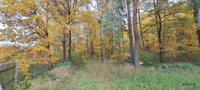 Działka rekreacyjna Kupientyn gm. Sabnie