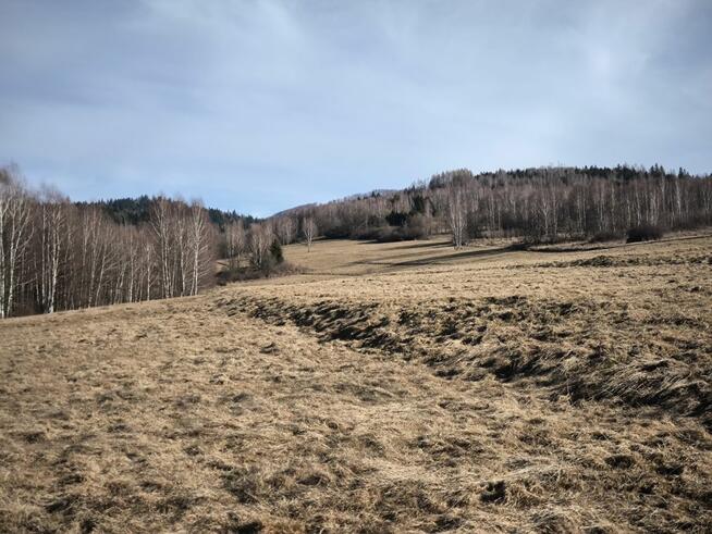 Działka rolna Cisiec gm. Węgierska Górka,