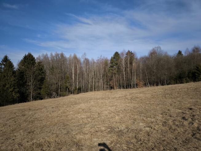 Działka rolna Cisiec gm. Węgierska Górka,