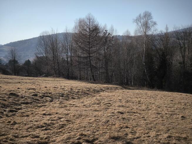 Działka rolna Cisiec gm. Węgierska Górka,