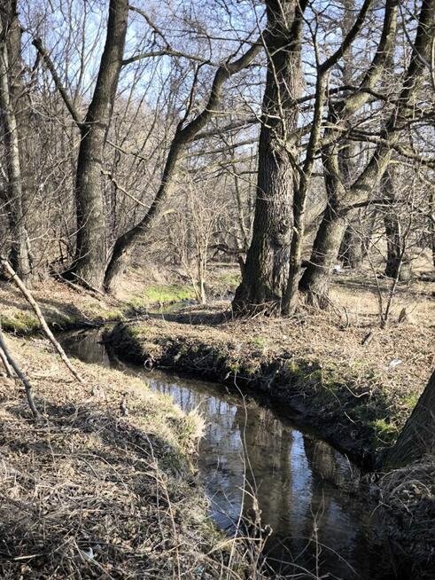 Działka rolna Żywiec,