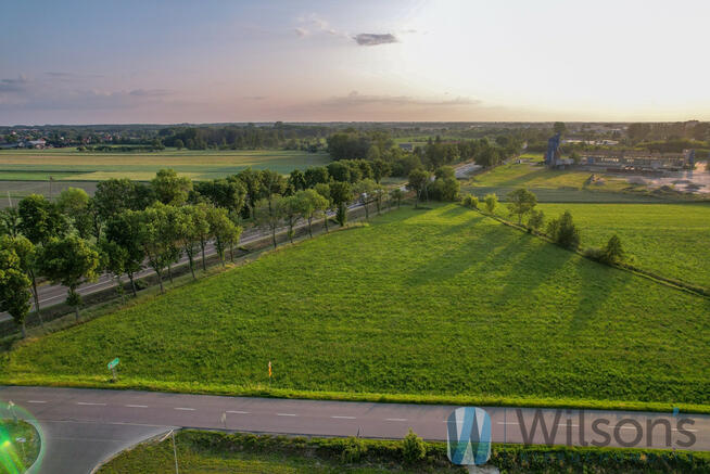 Działka usługowa Płońsk, Kwiatowa