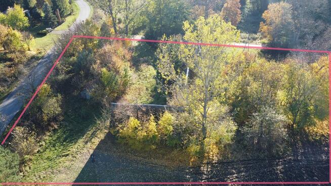 Siedlisko (działka 3623 m2) Przyłęk pow. Zwoleń.