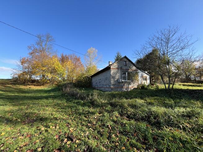 Siedlisko (działka 3623 m2) Przyłęk pow. Zwoleń.