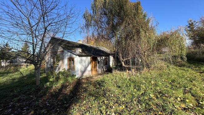 Siedlisko (działka 3623 m2) Przyłęk pow. Zwoleń.