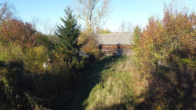 Siedlisko (działka 3623 m2) Przyłęk pow. Zwoleń.