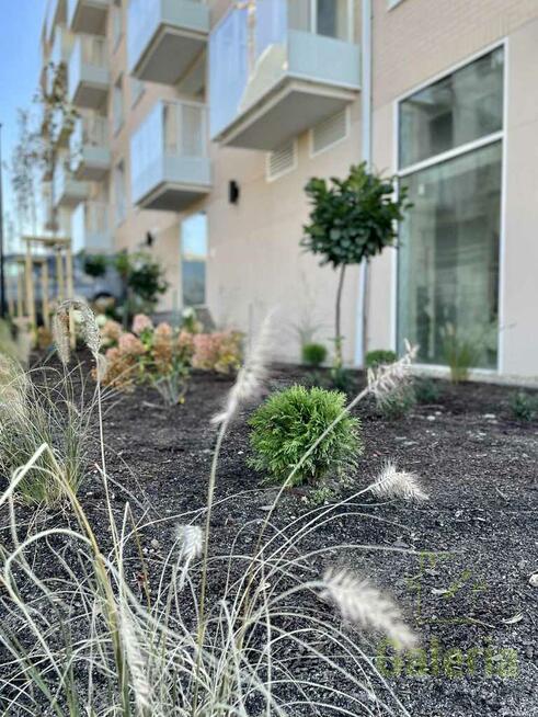 2 pokoje na Kępie Parnickiej – cesja, od zaraz!