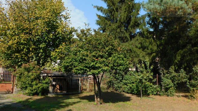 Dom Marki, Aleja Marszałka Józefa Piłsudskiego