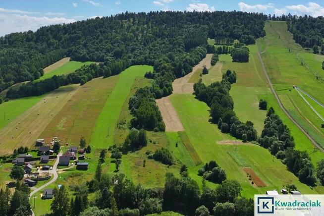 Działka rolna Wańkowa gm. Olszanica,