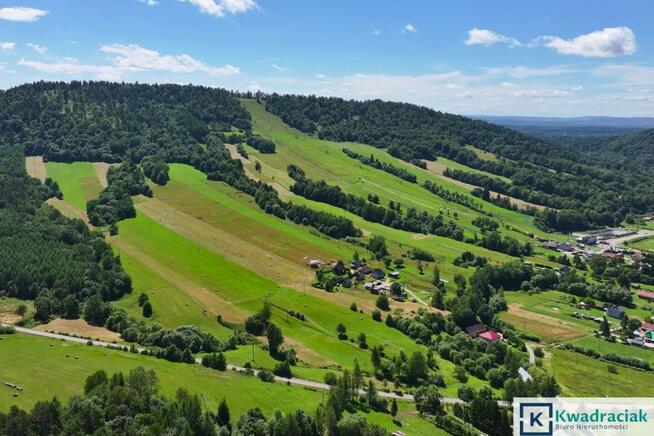 Działka rolna Wańkowa gm. Olszanica,