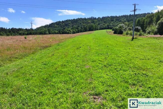 Działka rolna Wańkowa gm. Olszanica,