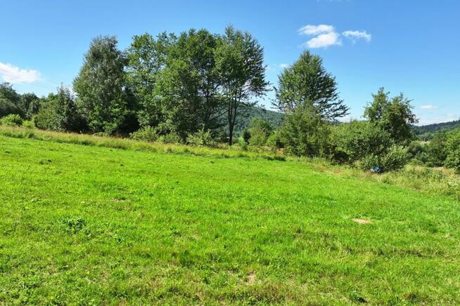 Działka rolna Wańkowa gm. Olszanica,