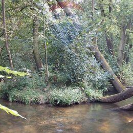 Działka inwestycyjna ze starym młynem