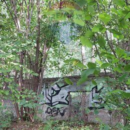 Działka inwestycyjna ze starym młynem