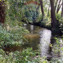 Działka inwestycyjna ze starym młynem