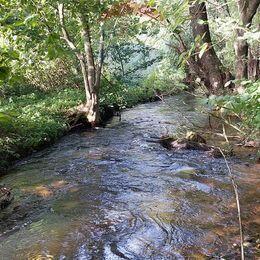 Działka inwestycyjna ze starym młynem