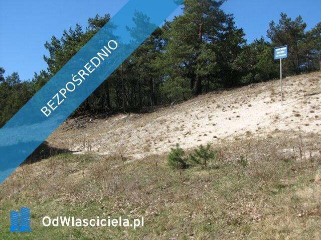 USTKA- Apartament przy porcie 300 m od morza,Las,wydmy