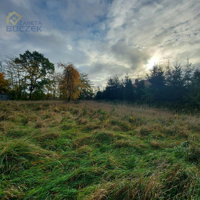 Działka inwestycyjna Nieborów, Aleja Legionów Polskich