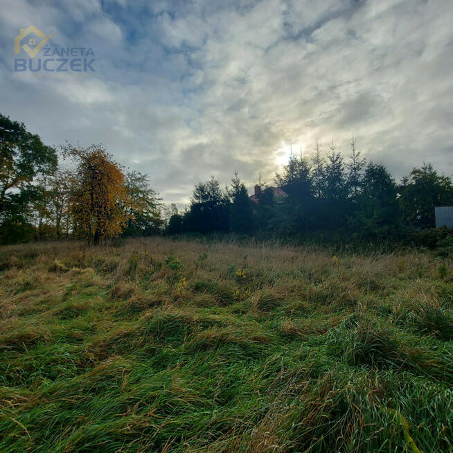Działka inwestycyjna Nieborów, Aleja Legionów Polskich