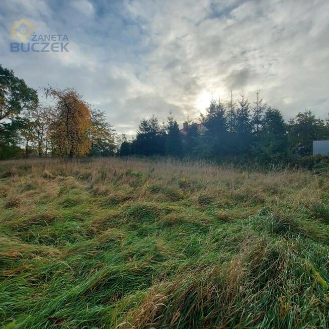Działka inwestycyjna Nieborów, Aleja Legionów Polskich