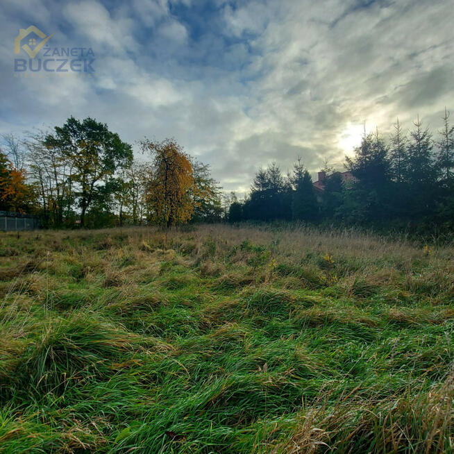 Działka inwestycyjna Nieborów, Aleja Legionów Polskich