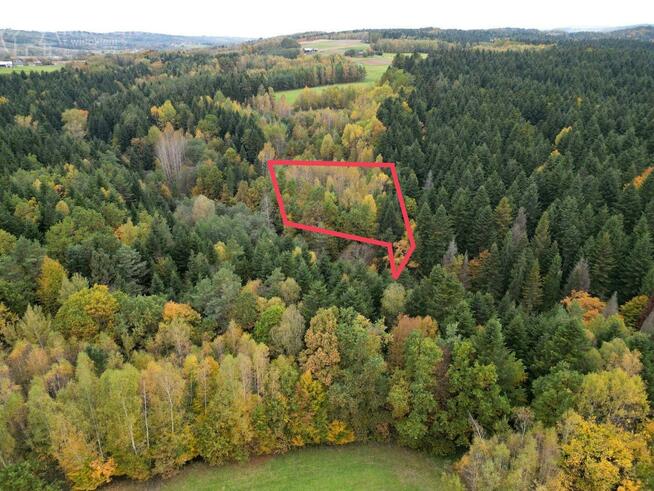 Działka rolna Strzeszyn gm. Biecz