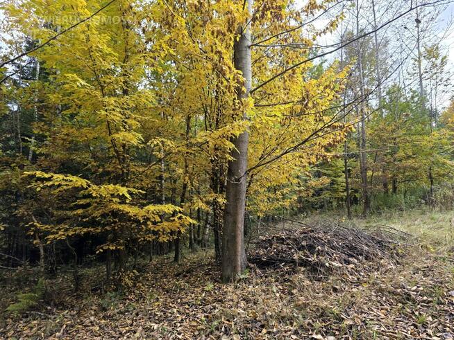 Działka rolna Strzeszyn gm. Biecz