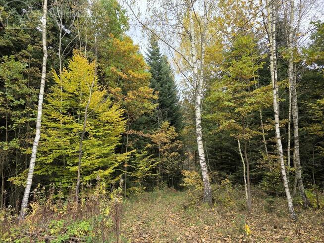 Działka rolna Strzeszyn gm. Biecz