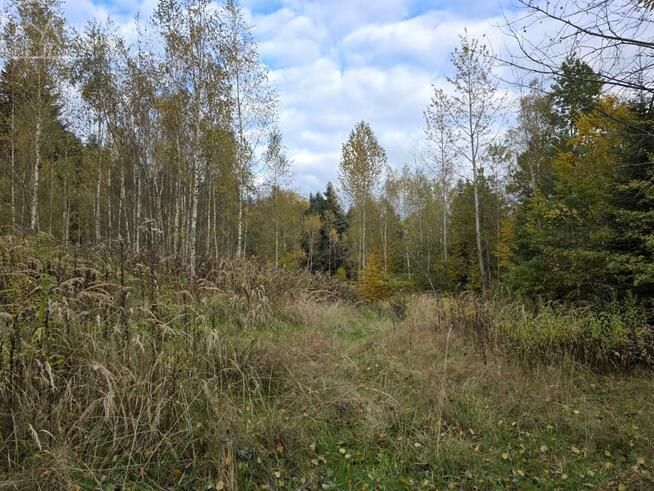 Działka rolna Strzeszyn gm. Biecz