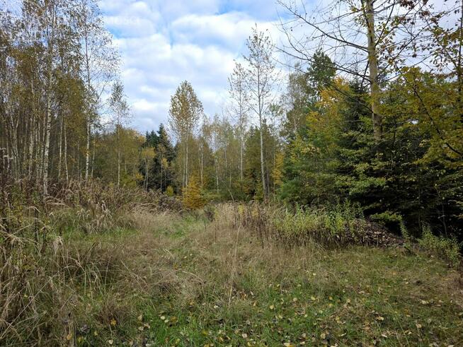 Działka rolna Strzeszyn gm. Biecz