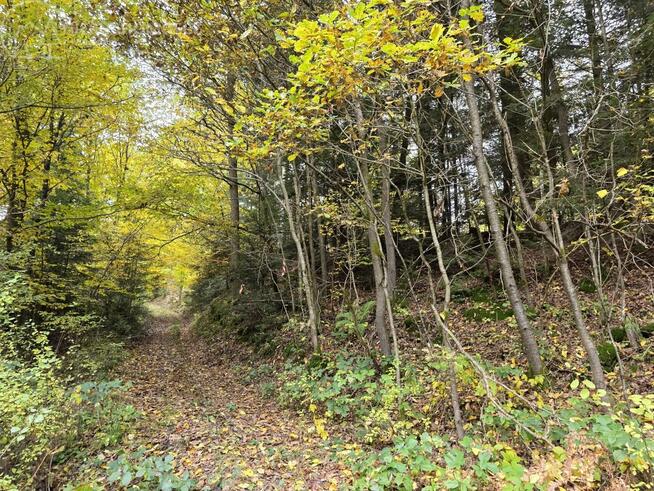 Działka rolna Strzeszyn gm. Biecz